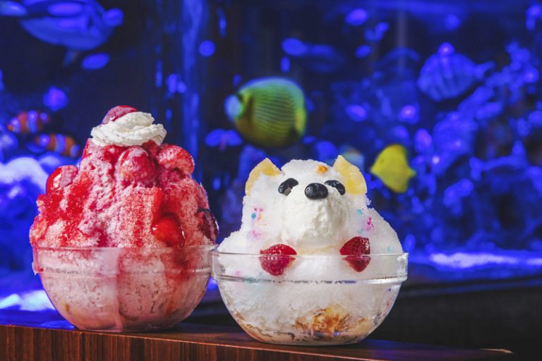 【新宿駅直結】1万匹の熱帯魚が泳ぐ「アクアリウムカフェ新宿店」が8月6日ニューオープン！