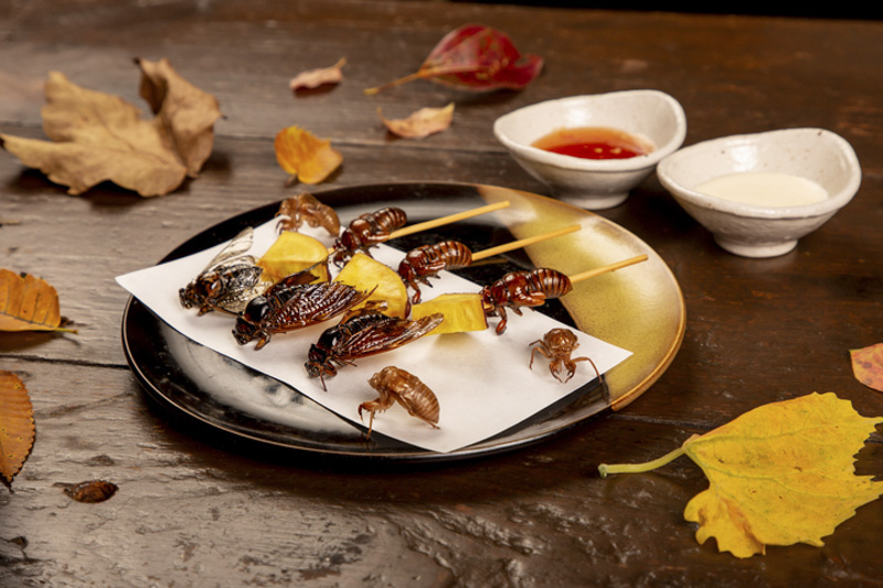 昆虫食フェア『未来の食卓、昆虫料理 第6弾』