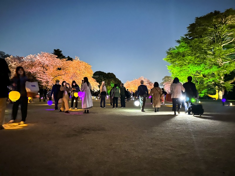 『NAKED桜の新宿御苑2023』の幻想的な世界