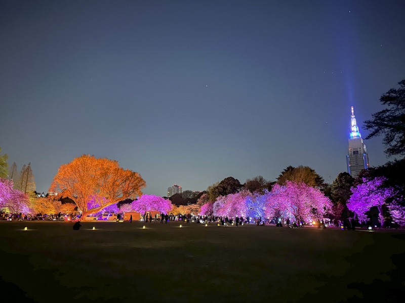 『NAKED桜の新宿御苑2023』の幻想的な世界