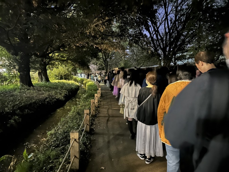 『NAKED桜の新宿御苑2023』は入場まで30分以上かかる！激混み必至です