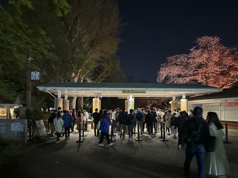 『NAKED桜の新宿御苑2023』は入場まで30分以上かかる！激混み必至です