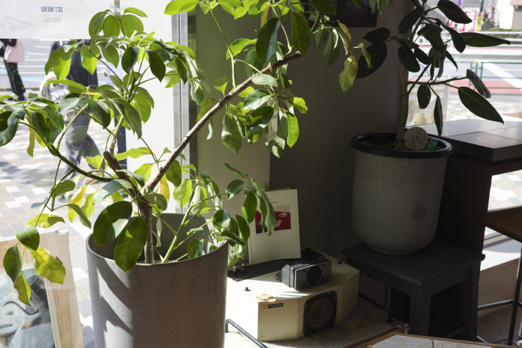 『PARKER COFFEE STAND』の店内とメニュー