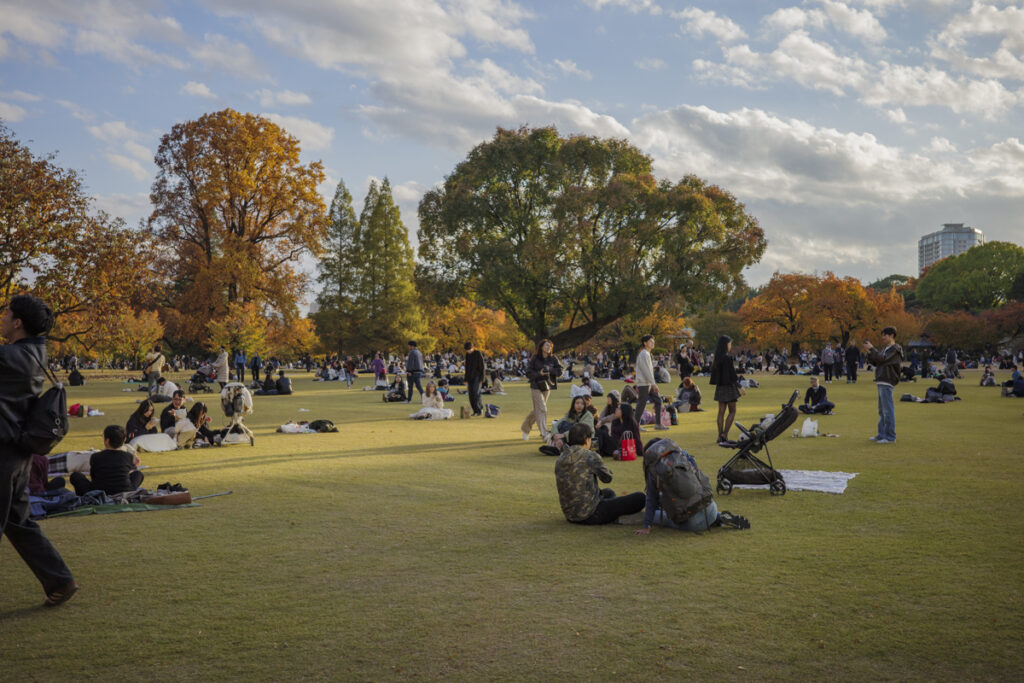 【新宿フォトスポット16選】西新宿・歌舞伎町・新宿駅周辺の人気撮影スポットまとめ